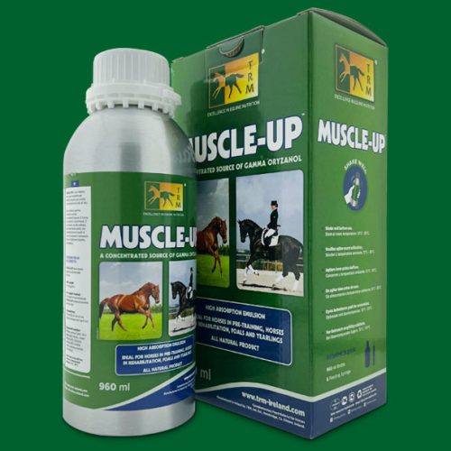 muscle_product